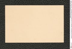 Nachlass Franz Steindachner, Visitenkarte von Joao Silveira an Franz Steindachner , Inv.Nr. 484.01, Seite 2